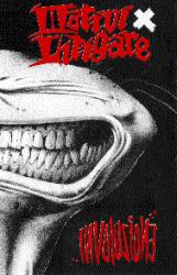 Motivi X Litigare : Involuzione